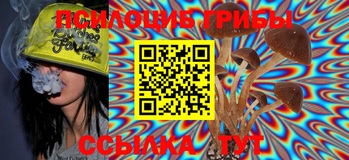 Галлюциногенные грибы мицелий  Галлюциногенные грибы прущие грибы  Альметьевск 